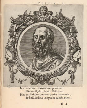 Vol.%20Y%2060%2C%20tav.%2022